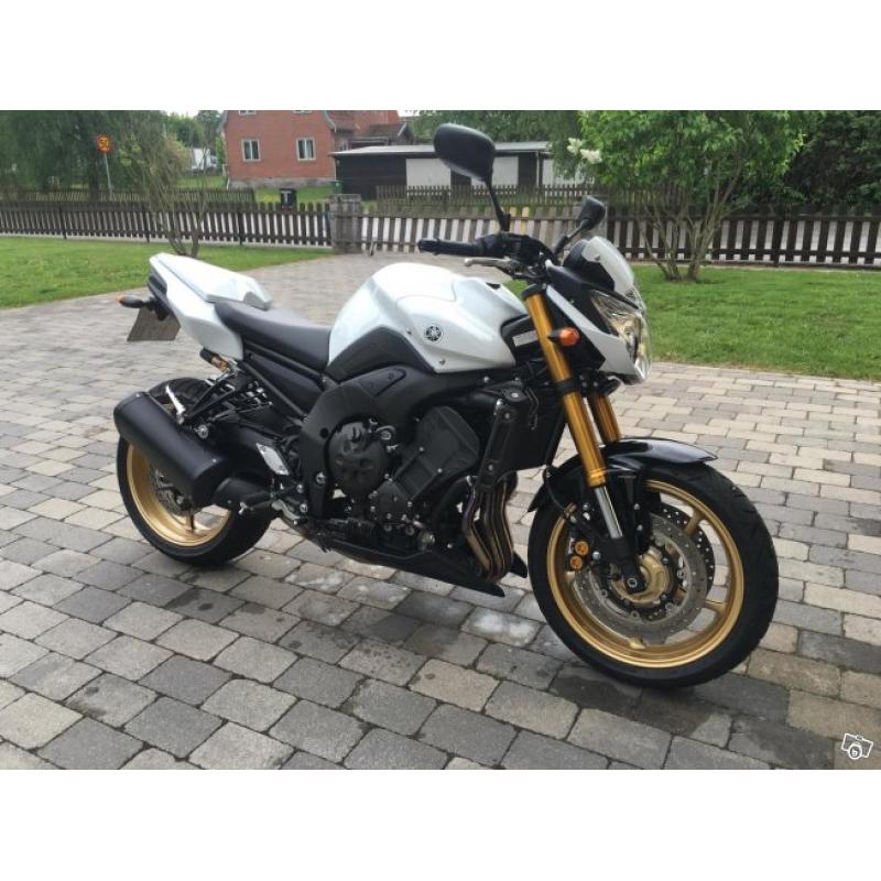 Yamaha FZ8 -11