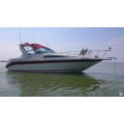 Sea ray 290 Sundancer