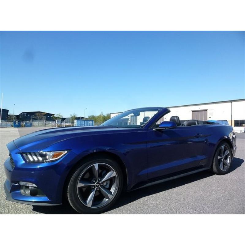 Ford Mustang V6 Cab -15