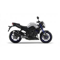 Yamaha FZ8-N ABS, Bike Special -15